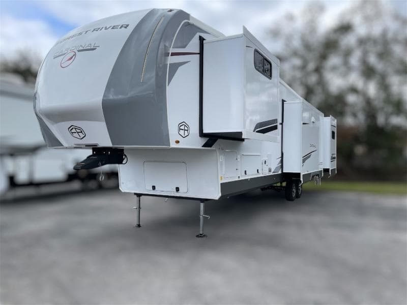 2025 Cardinal 2025 Cardinal Cardinal - thumbnail 4