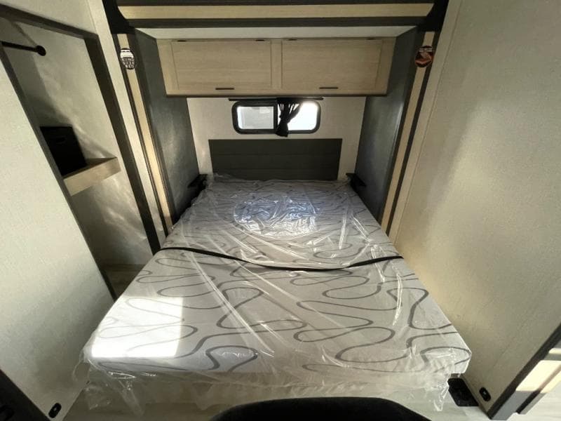 2026 Cardinal 2026 Cardinal Cardinal - thumbnail 31